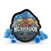 TRĒ House Mushroom Gummies - Image 3