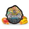 TRĒ House Mushroom Gummies - Image 6